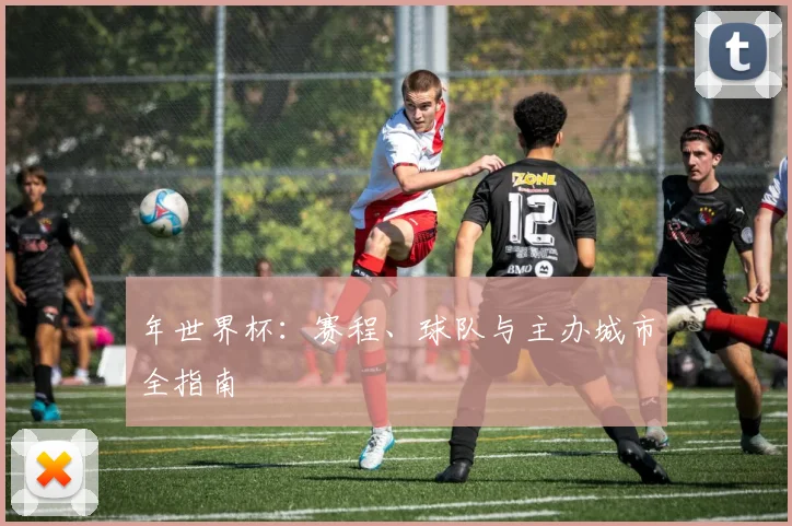 年世界杯：赛程、球队与主办城市全指南